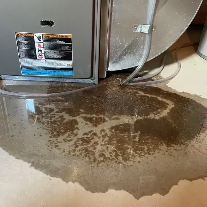 Appliance Leak Cleanup in River Bend, NC